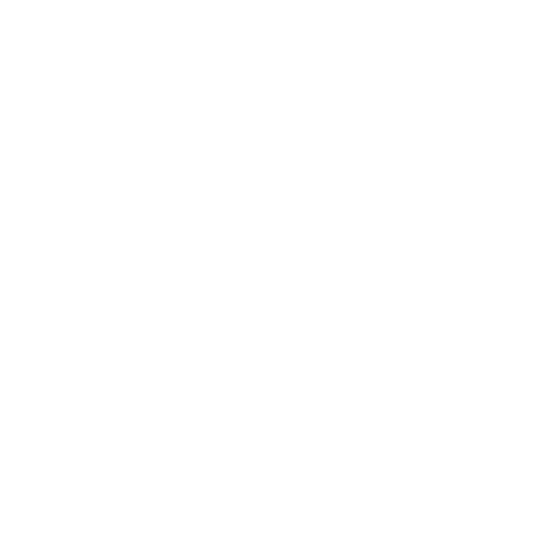 BESTIA DOG SPORT